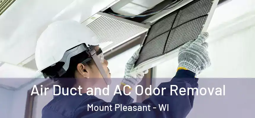  Air Duct and AC Odor Removal Mount Pleasant - WI