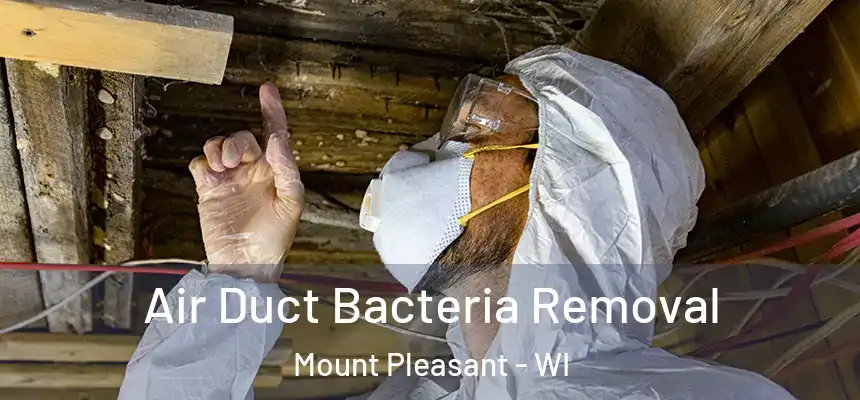 Air Duct Bacteria Removal Mount Pleasant - WI