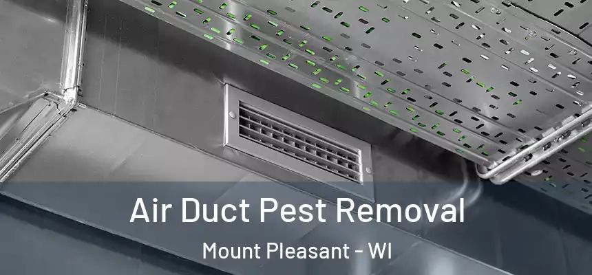  Air Duct Pest Removal Mount Pleasant - WI