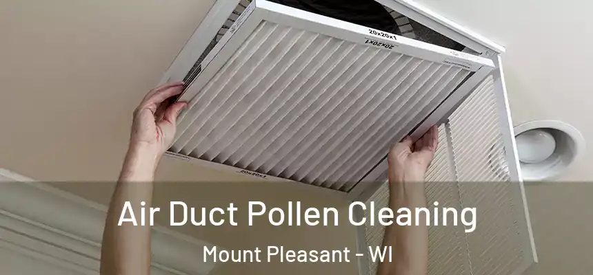  Air Duct Pollen Cleaning Mount Pleasant - WI