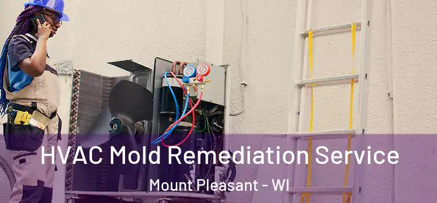  HVAC Mold Remediation Service Mount Pleasant - WI