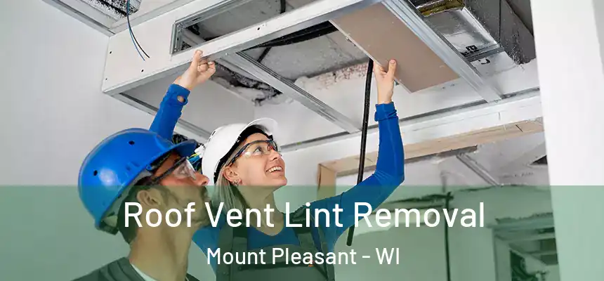 Roof Vent Lint Removal Mount Pleasant - WI