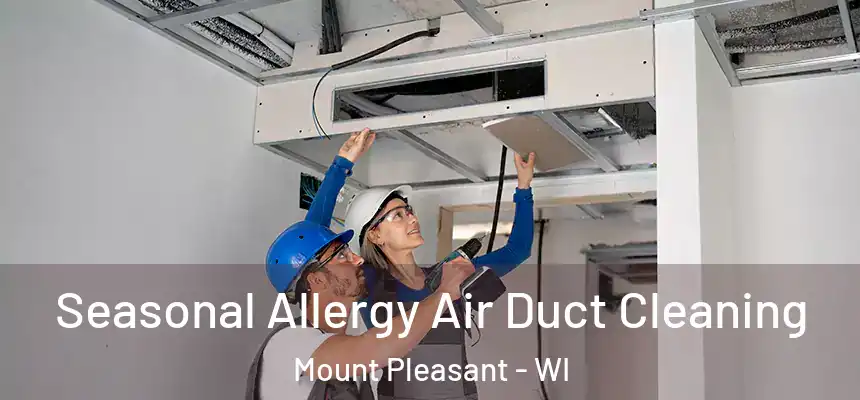  Seasonal Allergy Air Duct Cleaning Mount Pleasant - WI