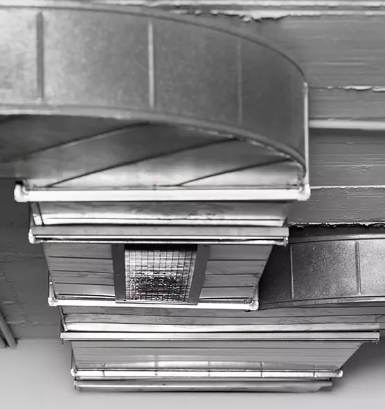 Professional Air Duct Pest Removal in Mount Pleasant, WI