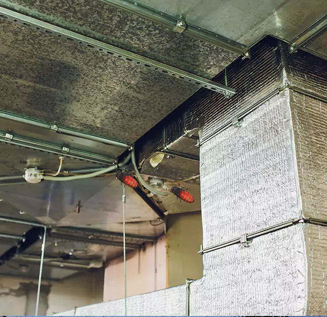 Why Homeowners & Businesses Trust Us in Mount Pleasant, WI?