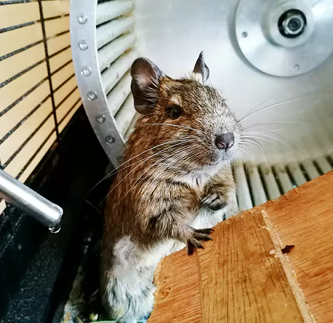 Why Homeowners & Businesses Trust Us Mount Pleasant, WI