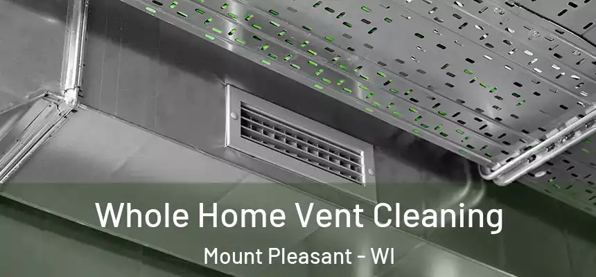 Whole Home Vent Cleaning Mount Pleasant - WI